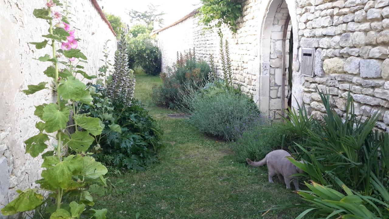Bed and Breakfast Les Jardins De Clerjotte Saint-Martin-de-Ré Exterior foto